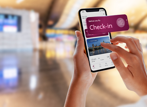 king-shaka-airport-online-check-in
